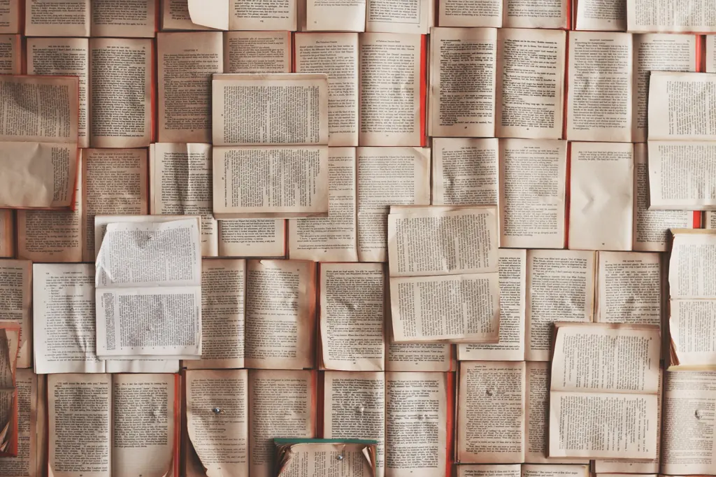 Open books laid out side by side